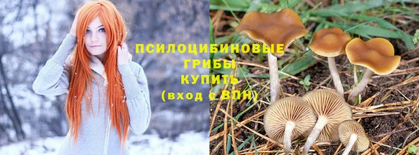 jwh Бородино